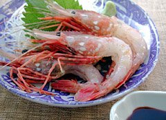���u����ÊC�V�̂�����Ɂu��쎇�v��
