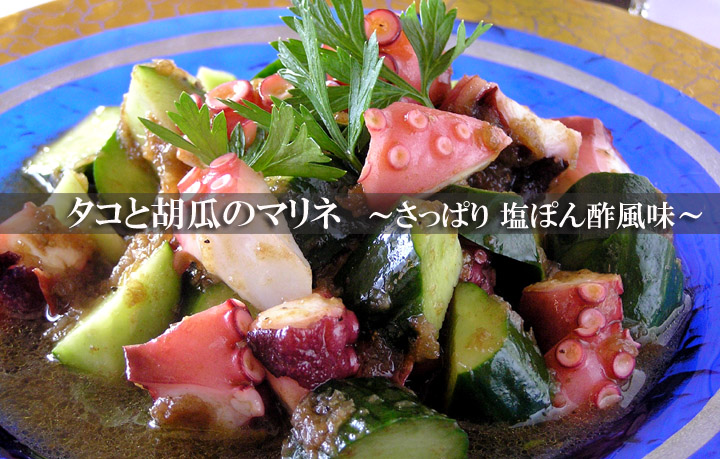 ���낢��g����y���ۂ�|�z