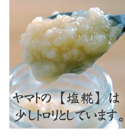 �y����z
