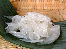 新鮮なものは透明でぴかぴかです!