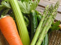 旬のお野菜！