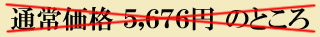 通常価格　５，６７６円のところ