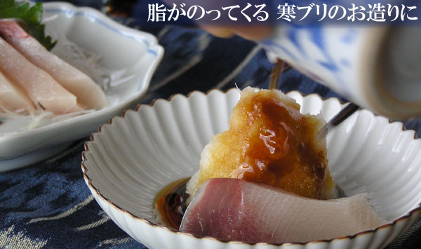 脂がのってる≪寒ブリなどのお造り≫に!
