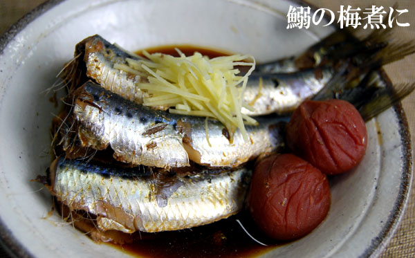 ≪鰯の梅煮≫もコレさえあれば、簡単ですよ！
