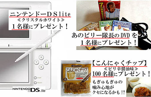 【任天堂DSlite】【ビリー隊長のDVD】【こんにゃくチップ】プレゼント