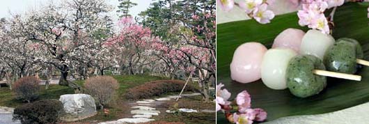 梅や桜の咲く春。一年のスタートです!