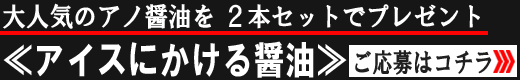 ≪アイスにかける醤油≫プレゼントはコチラから