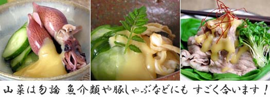 山菜をはじめ、色々なものにあいますよ！