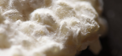 一汁一菜に一糀 一汁一菜に一糀