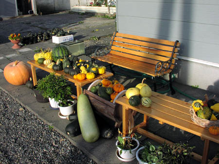 051002 Hokkaido_pumpkin.jpg