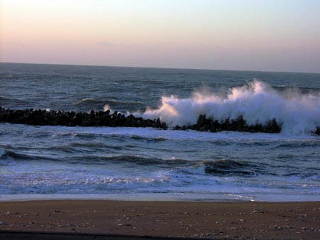 061108%20sea%20wave.jpg