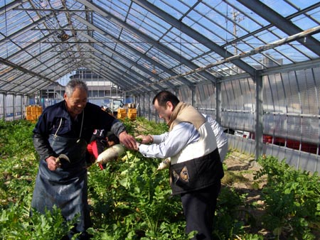 070226daikon.jpg