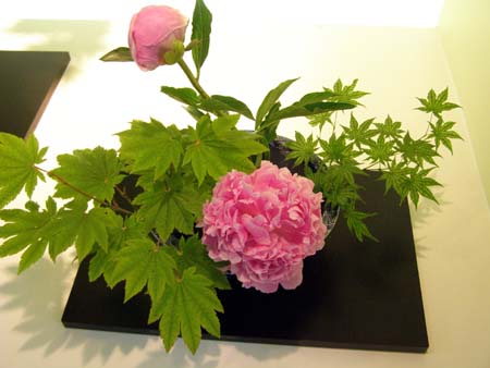 070527flower2.jpg