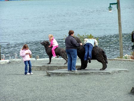 070603dog.jpg
