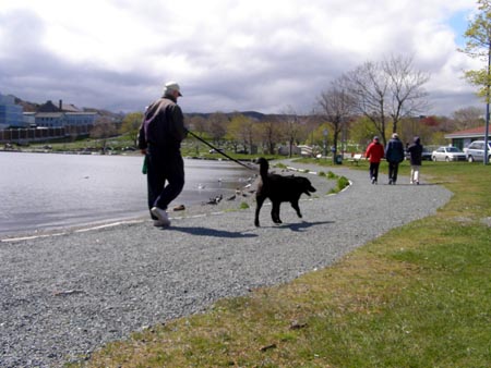 070603dog2.jpg
