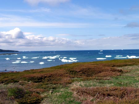 070607bonavista4.jpg