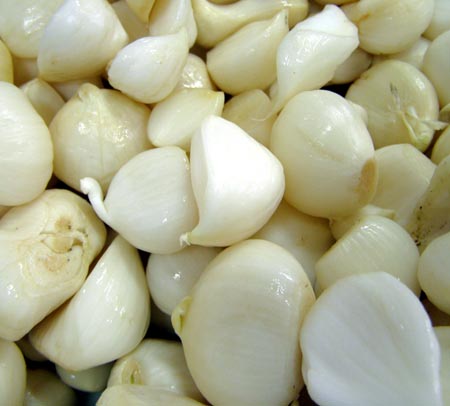 070620garlic2.jpg