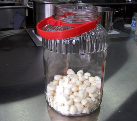 070620garlic3.jpg