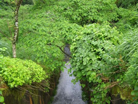 070623yuwaku3.jpg