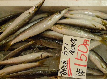 070624fish2.jpg