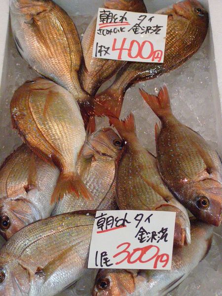 070624fish3.jpg