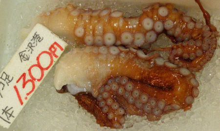 070624fish4.jpg