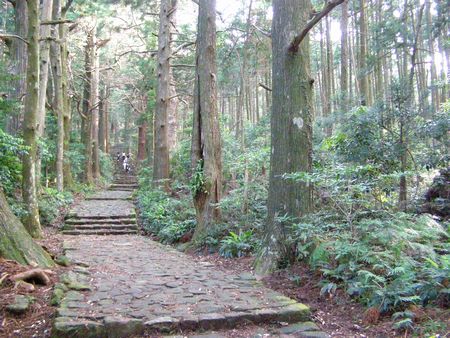 070630daimonzaka1.jpg