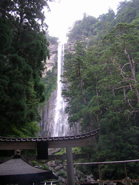 070630nachi.jpg