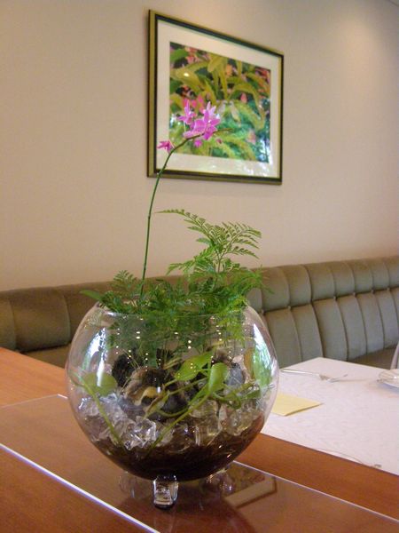 070727lunch4.jpg
