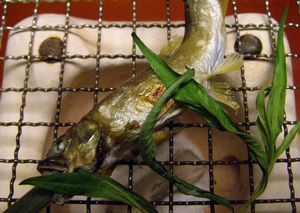 070807dish5.jpg