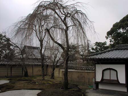 060311 Kodaiji.jpg