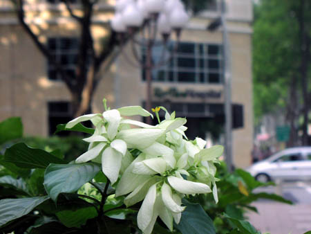 060425singapore.jpg