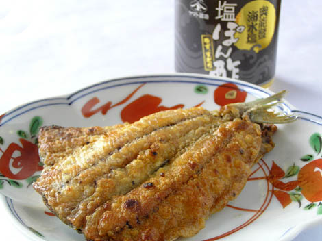 060915sardine_muniel.jpg