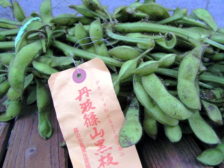 061009edamame_tanba.jpg